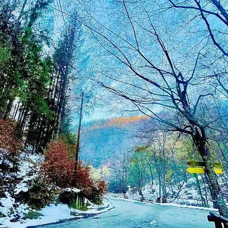 Kwatera prywatna Sobe Za Izdavanje Nedeljkovic *